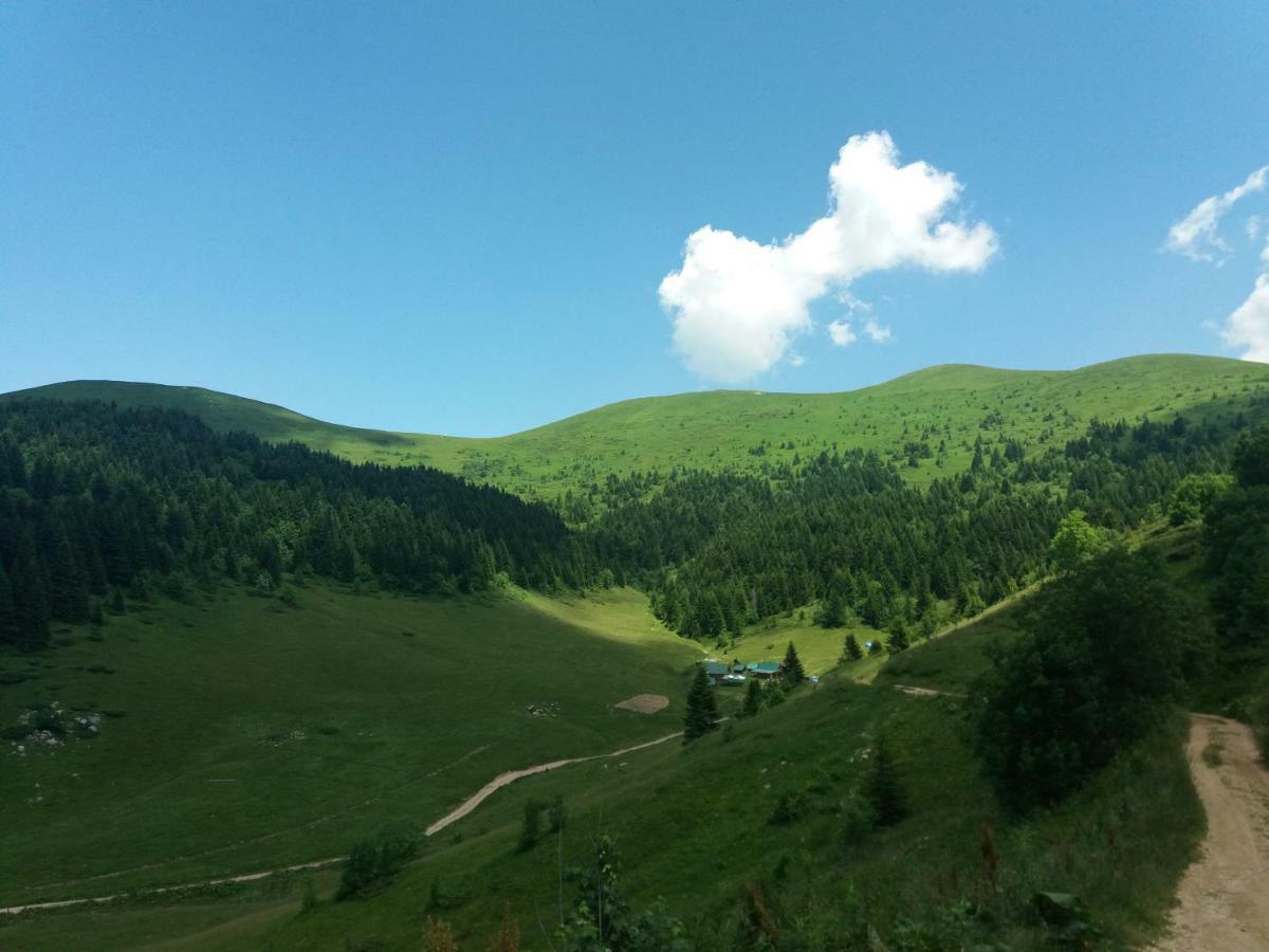 Eko Katun Damjanovic - Bjelasica Mojkovac Bagian luar foto