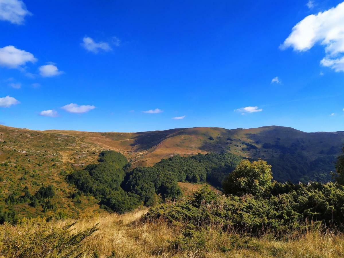 Eko Katun Damjanovic - Bjelasica Mojkovac Bagian luar foto